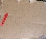 lm choke patterns 008.JPG