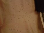 BBB patterns 047.jpg