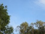 IMG_0672.JPG